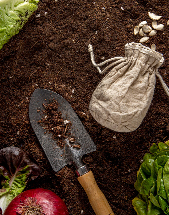 Organic Manure