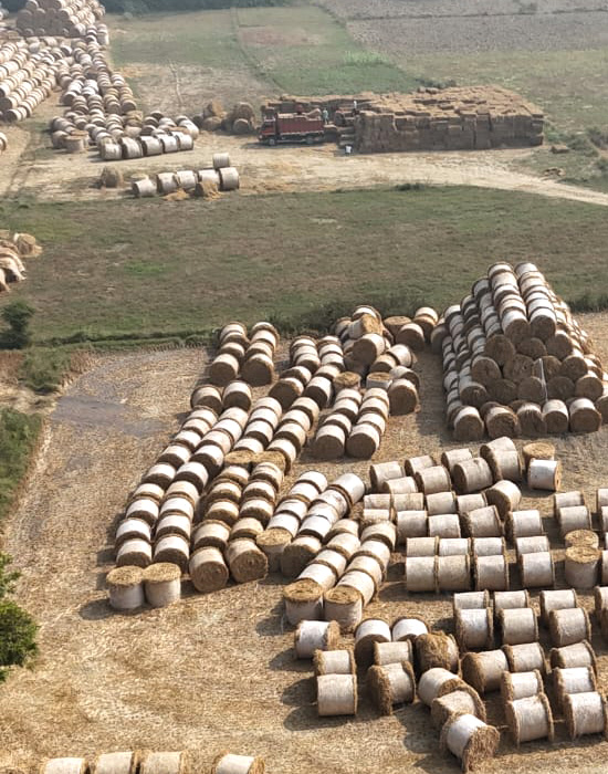 Storage & Supply